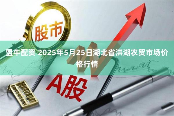 盟牛配资 2025年5月25日湖北省洪湖农贸市场价格行情