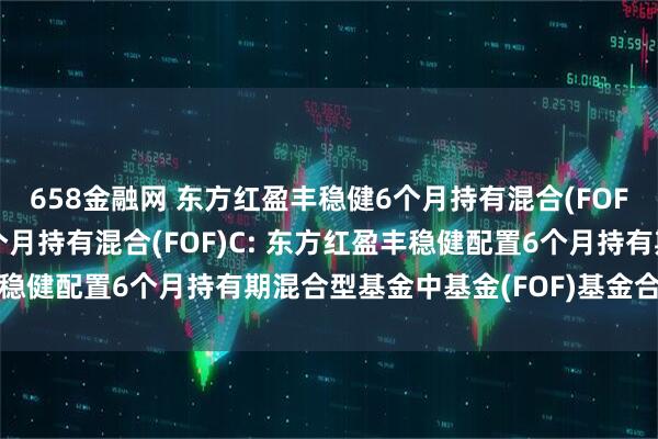 658金融网 东方红盈丰稳健6个月持有混合(FOF)A,东方红盈丰稳健6个月持有混合(FOF)C: 东方红盈丰稳健配置6个月持有期混合型基金中基金(FOF)基金合同生效公告